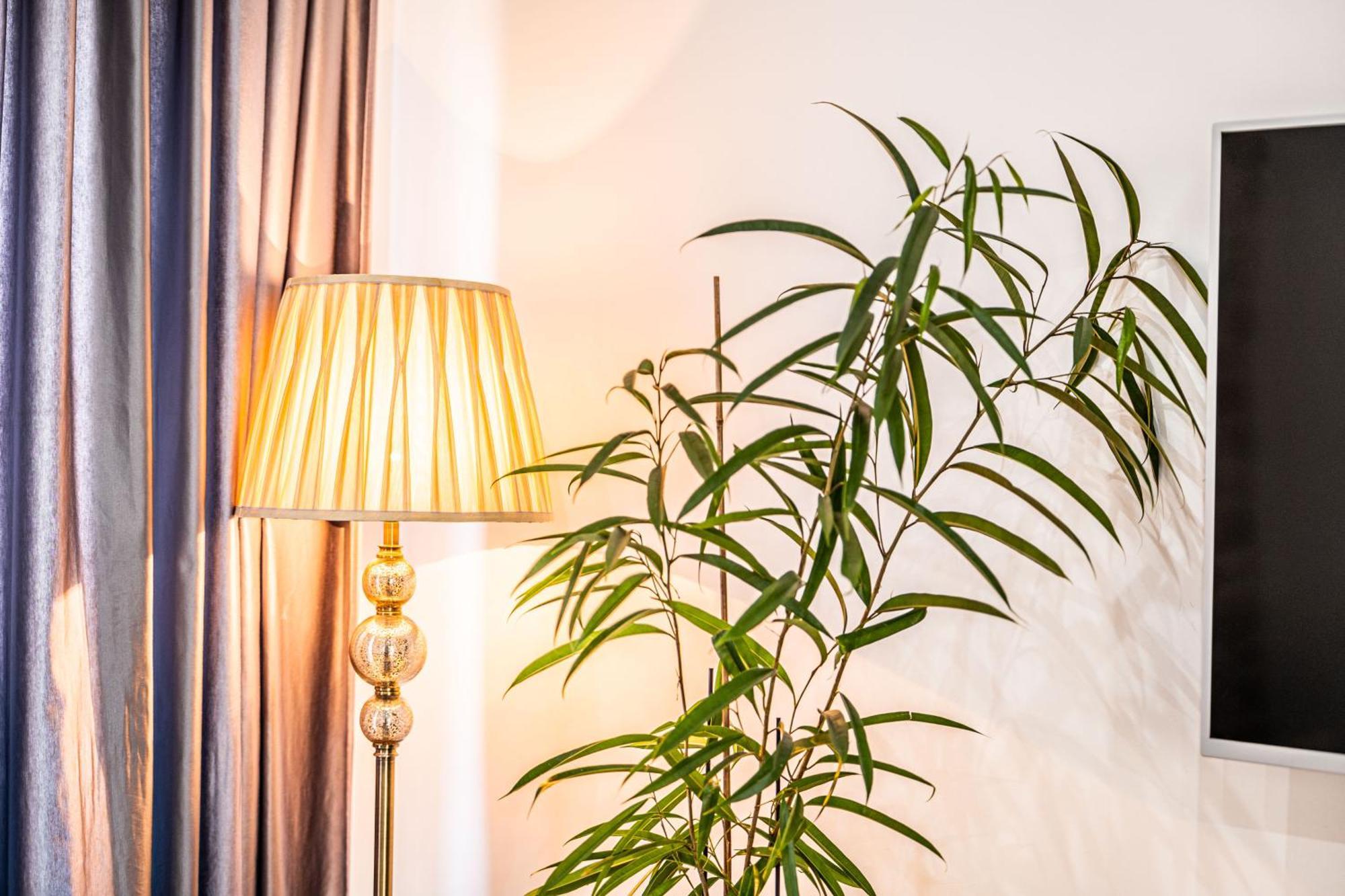 Apartment Lilly Split Eksteriør bilde